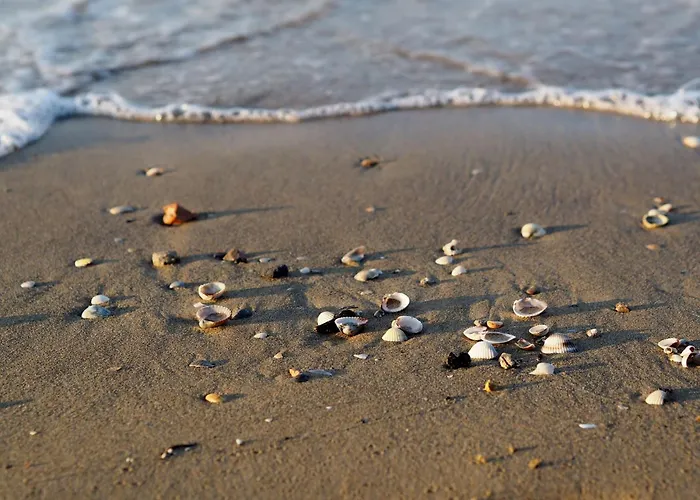 Sunny Terrace Thermal Baths Apartment *